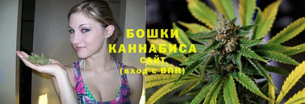 шишки Осташков