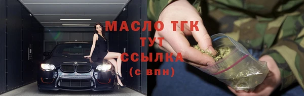 шишки Осташков